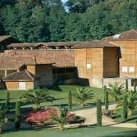 Maison Avec Piscine Proche Des Thermes Mauleon-D'armagnac Eksteriør bilde