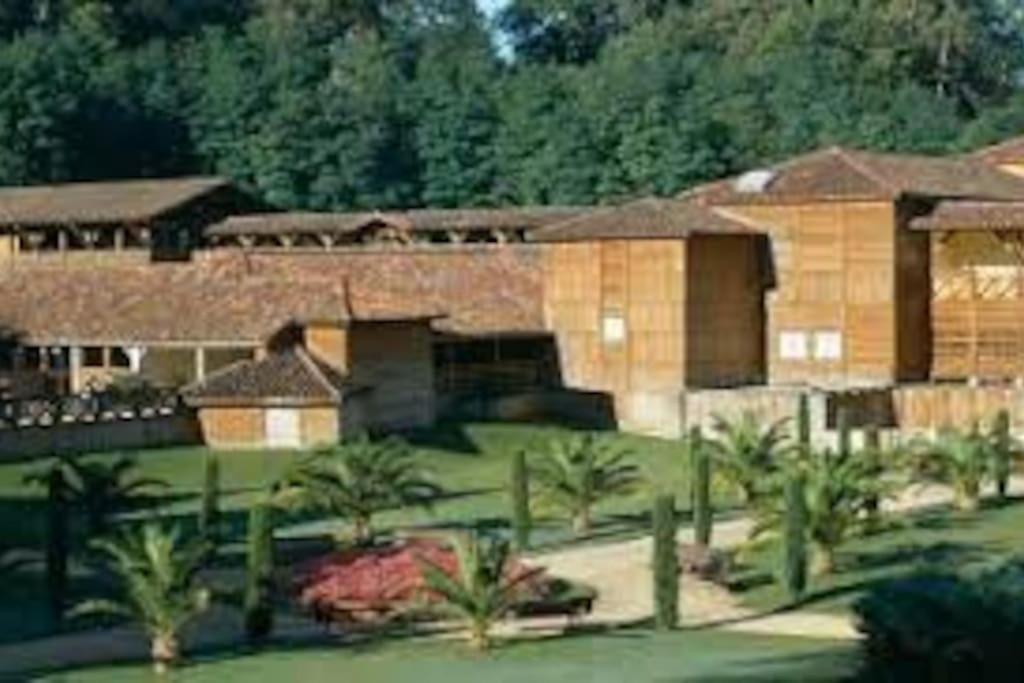 Maison Avec Piscine Proche Des Thermes Mauleon-D'armagnac Eksteriør bilde